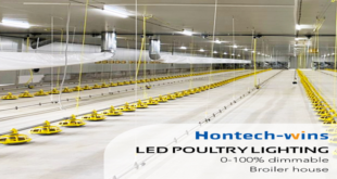 What You Need To Know About Chicken Coop LED Lighting