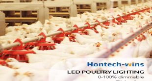 LED Poultry Lights: Increase Lighting Effectiveness